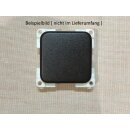 2 Stück Presto Flächenwippe Wippe Schalter Taster Braun G783