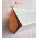 Carysan hintere Abdeckung Versorgungszentrale Verkleidung Weiß Blende I547